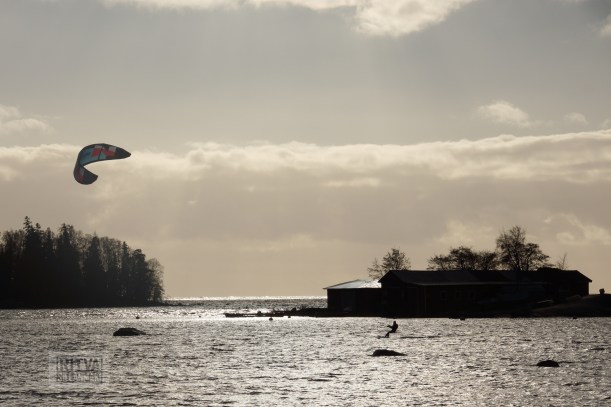 Ritva Sillanmäki -lauttasaari-8