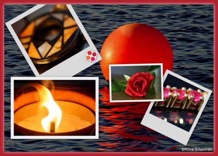 2-2013-11-22 kuihtunut ruusu1