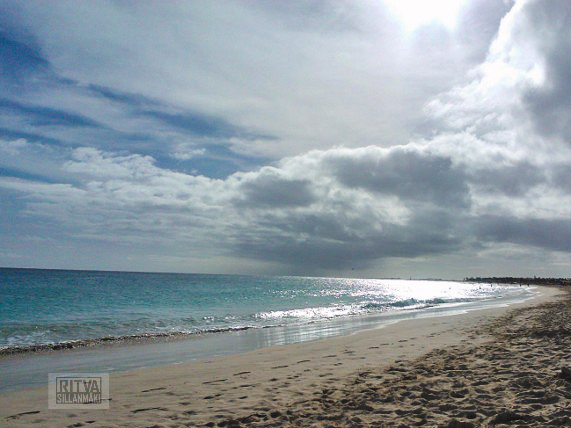 Ritva's Photos (15 of 46)