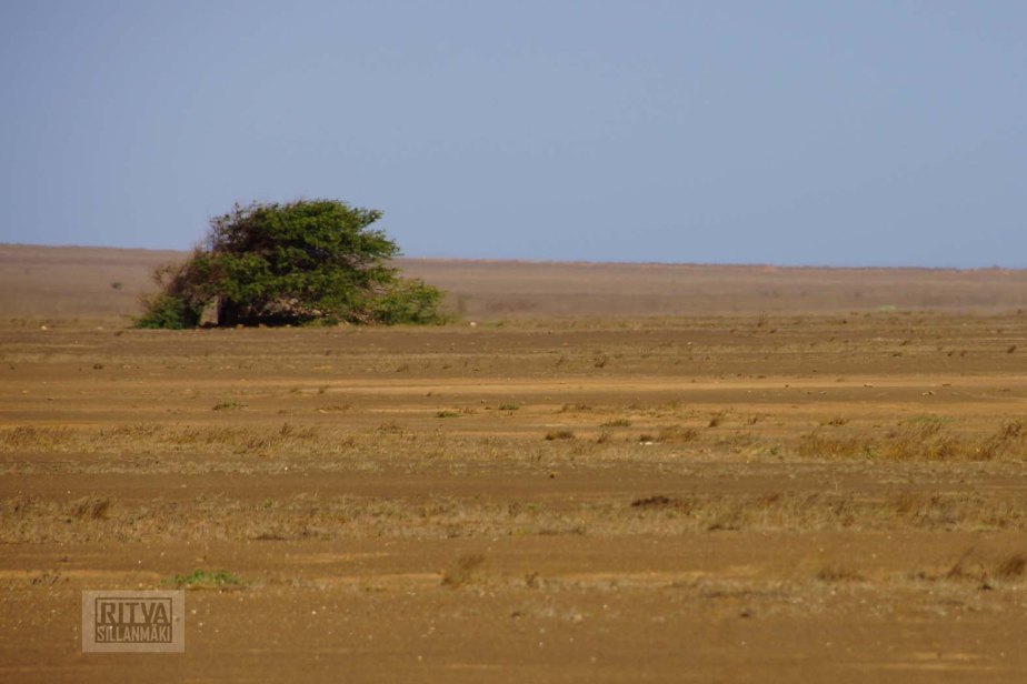 Ritva's Photos (26 of 32)