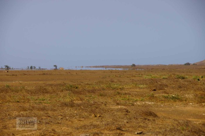 Ritva's Photos (27 of 32)