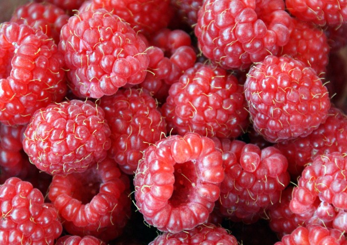 rasberries