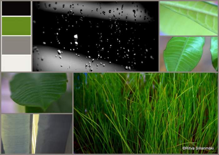 1-reflection, kumia, tulppaani