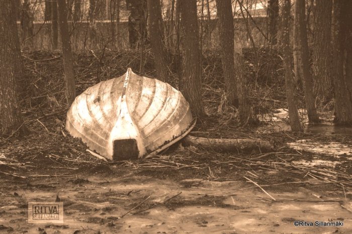 1-Ritva's Photos (21 of 152)