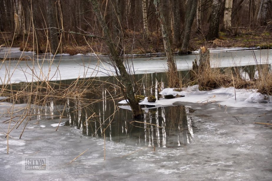 1-Ritva's Photos (22 of 152)