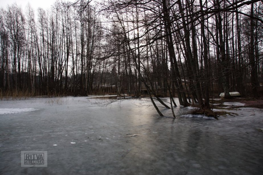 3-Ritva's Photos (13 of 152)