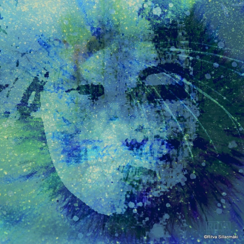 4-Hiljattain päivitetty319