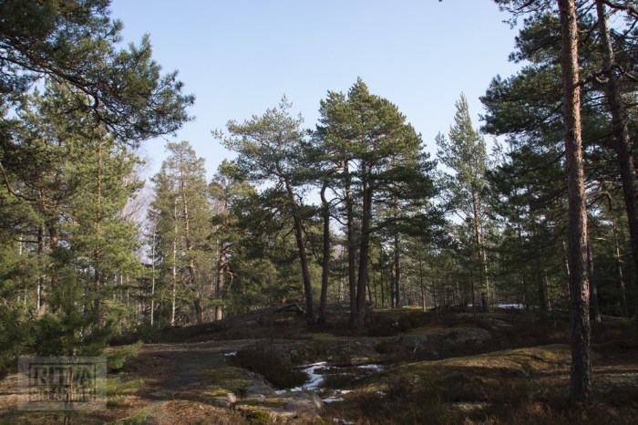 Ritva Sillanmäki (12 of 120)