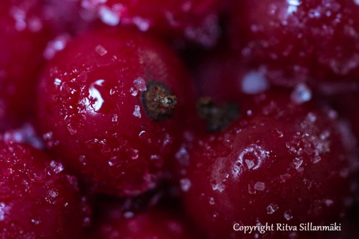 Ritva Sillanmäki (2 of 10)