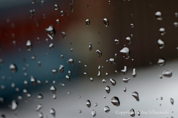 Ritva Sillanmäki (2 of 113)