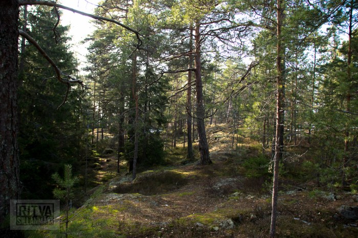 Ritva Sillanmäki (20 of 120)