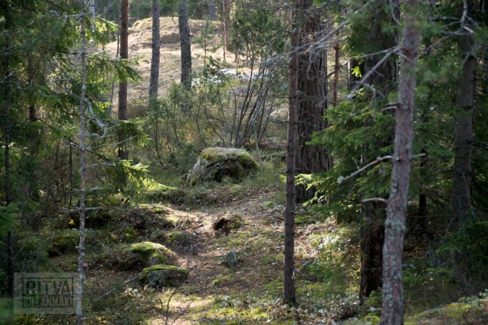 Ritva Sillanmäki (21 of 120)