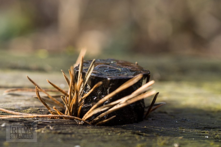 Ritva Sillanmäki (93 of 120)