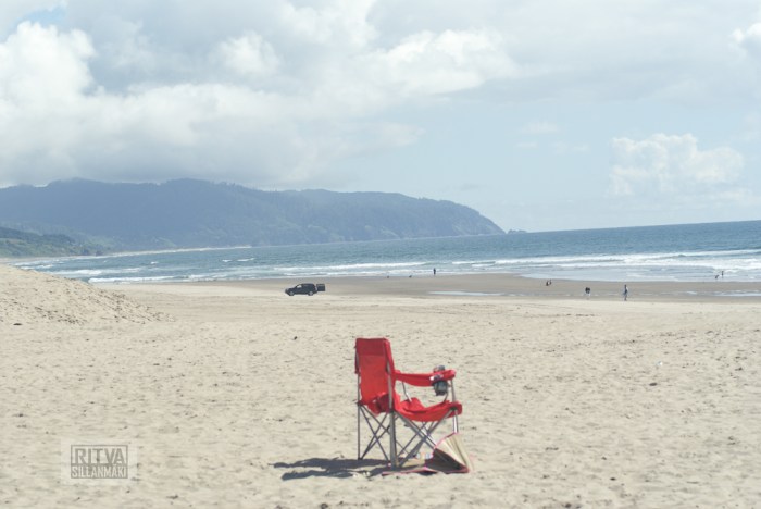 Oregon coastline - one lighthouse-46