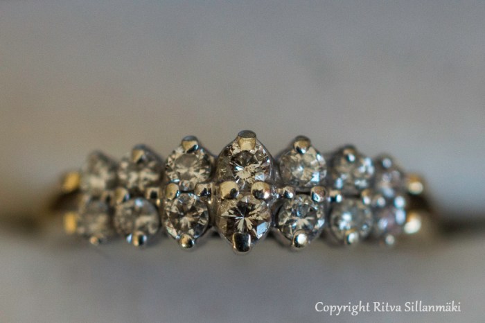 Ritva Sillanmäki (102 of 126)