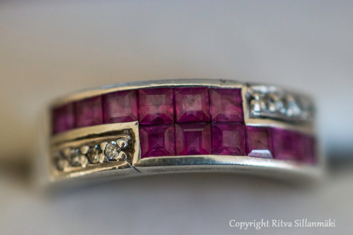 Ritva Sillanmäki (103 of 126)