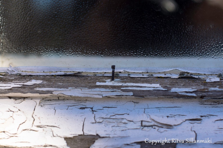 Ritva Sillanmäki (16 of 71)