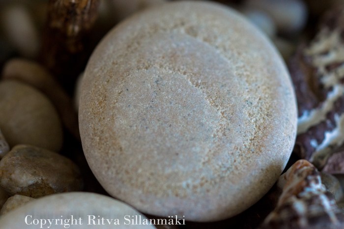 Ritva Sillanmäki-164