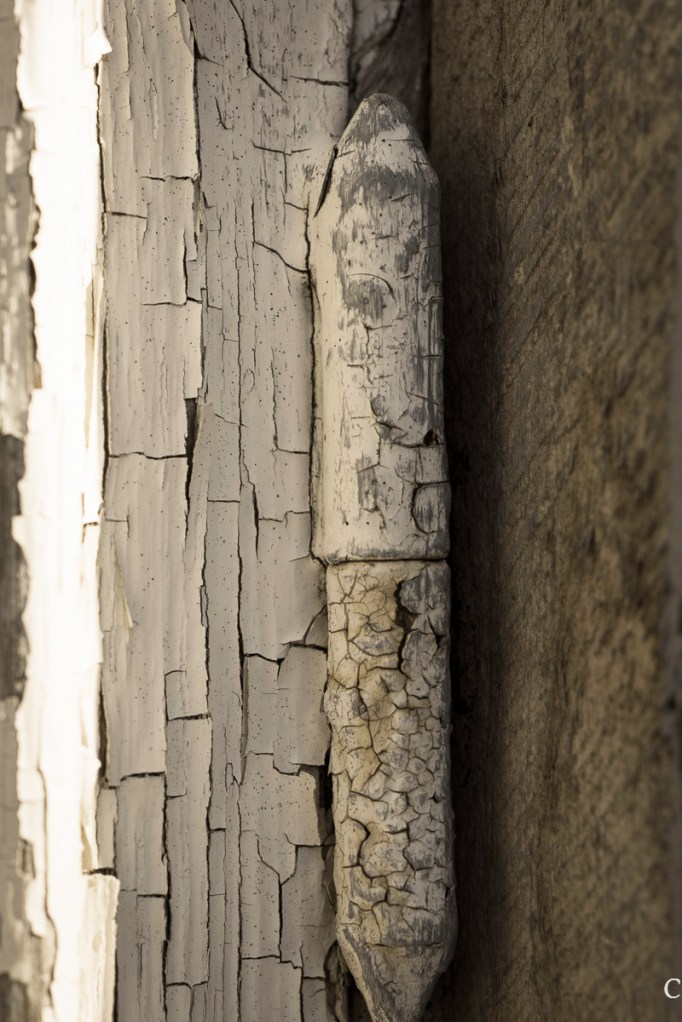 Ritva Sillanmäki (17 of 71)