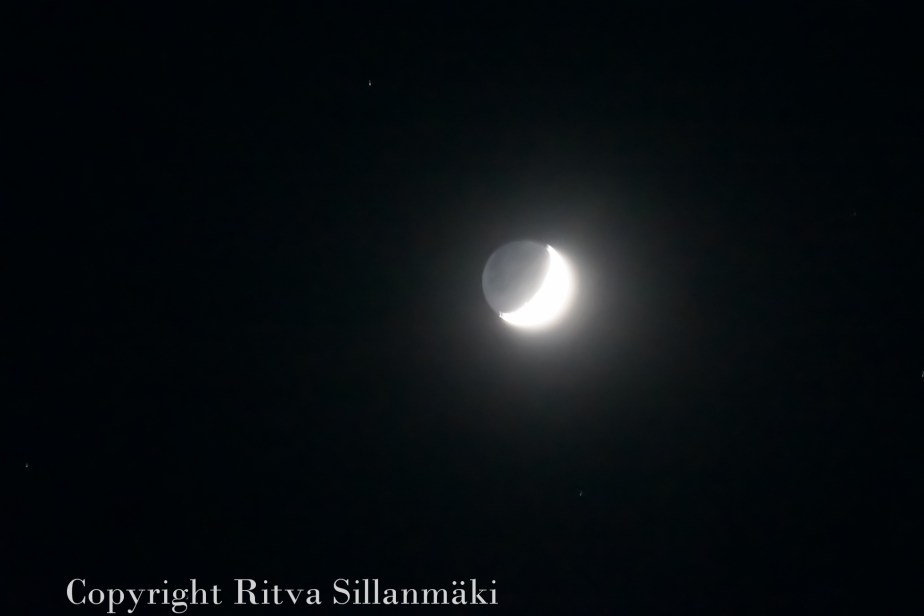 Ritva Sillanmäki-27