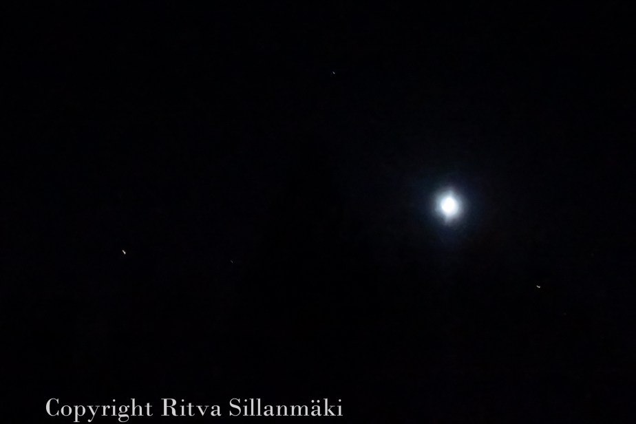 Ritva Sillanmäki-28