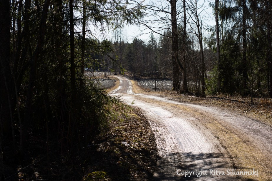 Ritva Sillanmäki (37 of 71)