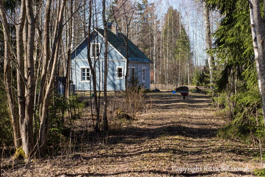 Ritva Sillanmäki (39 of 71)