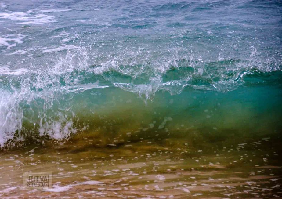 Ritva's Photos (9 of 32)