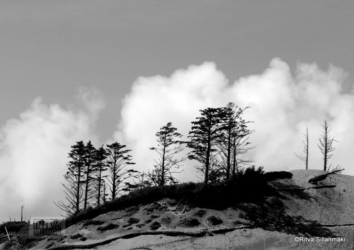 08-Oregon coastline - one lighthouse-37