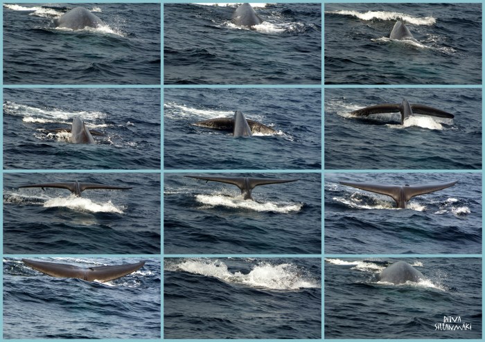 11-2012-02-07 SriLanka_2012