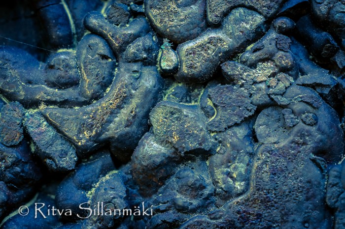 detail of burned brick-1