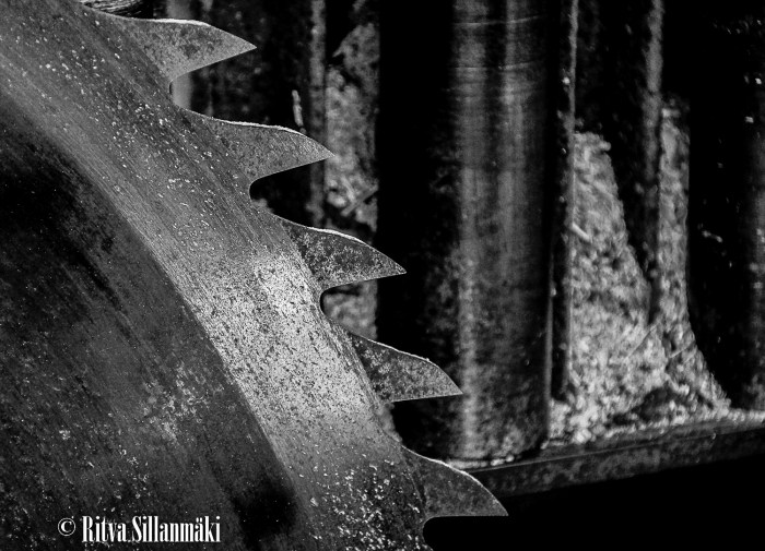 RS 2014-06-09 fieldsaw  bw-2