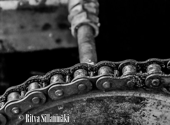 RS 2014-06-09 fieldsaw  bw-3