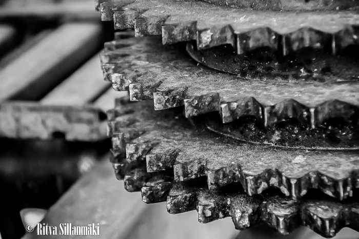 RS 2014-06-09 fieldsaw  bw-4