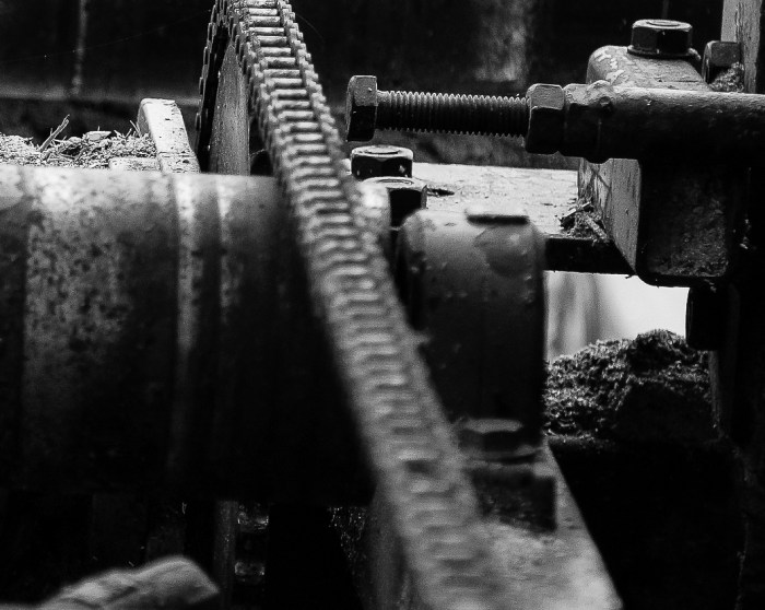 RS 2014-06-09 fieldsaw  bw-5