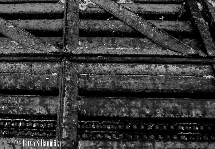 RS 2014-06-09 fieldsaw  bw-6