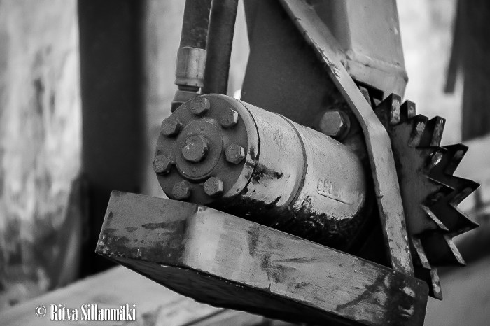 RS 2014-06-09 fieldsaw  bw-7