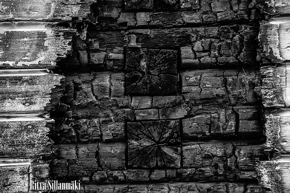 RS 2014-06-09 fieldsaw  bw-8