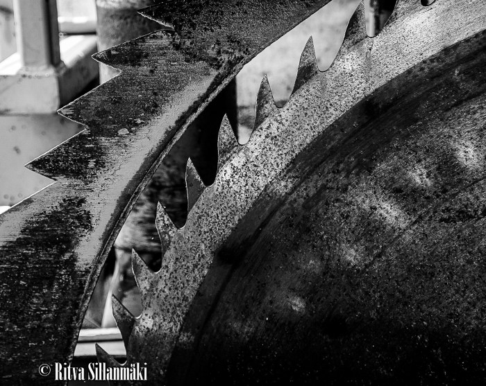 RS 2014-06-09 fieldsaw  bw