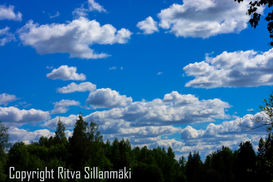 RS 2014-06-15 - ruuhijärvi-129