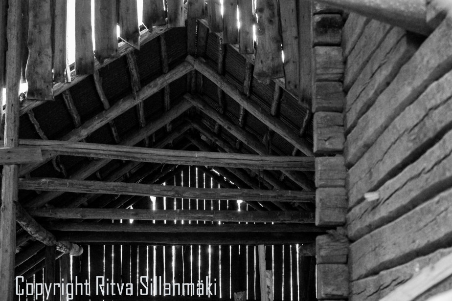 RS 2014-06-15 - ruuhijärvi-136