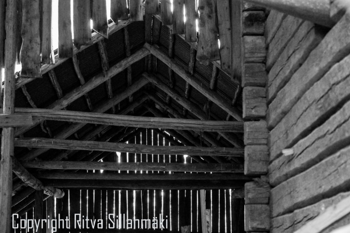 RS 2014-06-15 - ruuhijärvi-136