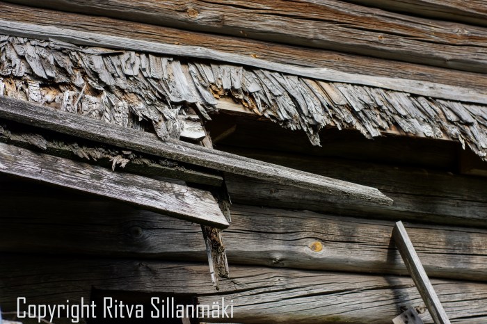 RS 2014-06-15 - ruuhijärvi-137