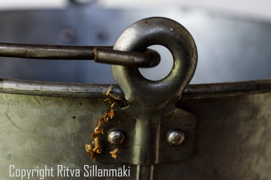 RS 2014-06-15 - ruuhijärvi-148