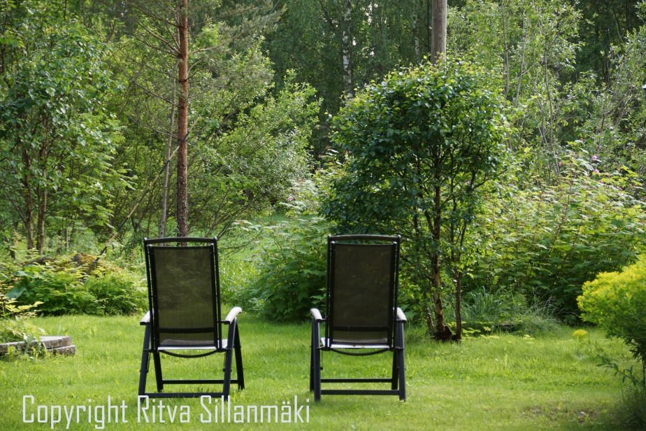 RS 2014-06-15 - ruuhijärvi-22