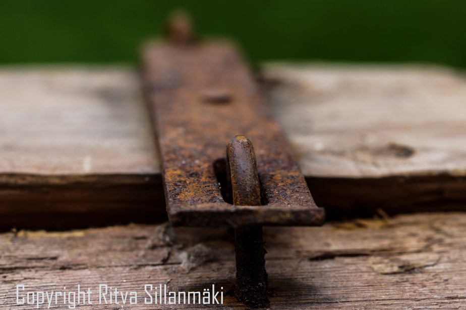 RS 2014-06-15 - ruuhijärvi-55