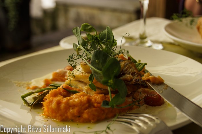 RS 2014-0611 - Tallin-delicious lunc