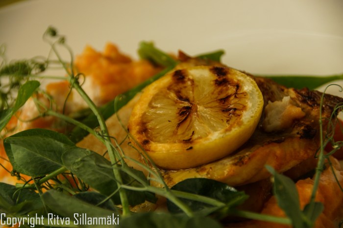 RS 2014-0611 - Tallin-lunch topping