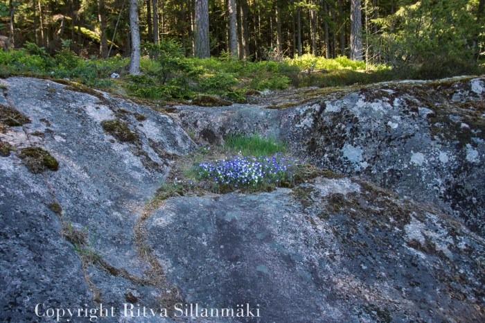 RS 2014 5-22 Linlo-81