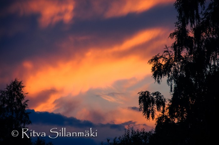 fog- Ritva Sillanmäki (16 of 45)